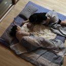 예당케어 | 생후 70일 아기와 숲속에서 힐링여행 (봉수산자연휴양림, 라이크레이크 베이커리카페)