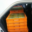 아림지역아동센터 이미지