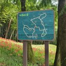 생명의근원Ⅱ 이미지