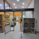 플레이시드스쿨 | 서울청년센터 마포 첫 방문 후기 재방문 의사 100%