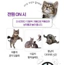 스마트 오토 이미지