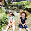 구갈레스피아공원 이미지