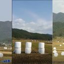 정남진축산 이미지