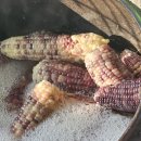 털보네농장 이미지