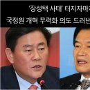 김정은의 장성택, 박정희의 인혁당 이미지