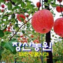 명품화훼농원 이미지