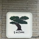 소나무와커피