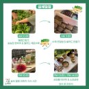 지지농장 이미지