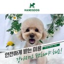 양산독케어2 | 양산강아지미용 강아지가 편안하게 받는 핸즈독 애견 미용 이야기