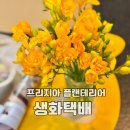 [일원3] 힐링&리빙데코 플라워 | 프리지아 꽃배송 가성비 좋은 꽃배달 플랜테리어 봄꽃 인테리어 추천