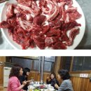 ■순수40년 숙박(비박)전국여행 176번째■ 여주에서 살아보기 ☆2026년 4월18일 / *여주 오곡나루 축제/진품마오타이* 이미지