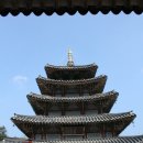 오리숲 이미지