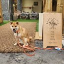 아지트카페 이미지