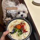 신반포로45길 9-12 | 논현 애견동반 맛집| 강아지랑 편하게 식사한 차이들 논현점 솔직후기