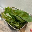 위시티로 | 일산 식사동 위시티 맛집 삼겹살 오겹살 맛집 사계절