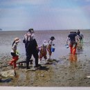 캐러가까 | 태안펜션 가족과 함께한 추억 가득한 캐러가까