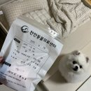 김달수 | 강아지 산책중 진드기 물려서 병원 다녀온 후기