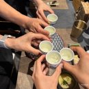 대전 노은동 오마카세담장 디너 후기｜부모님 생신 식사로 만족했던 재방문 리뷰 (내돈내산)