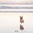 라온하제(즐거운 내일) | 라온하제_즐거운 내일