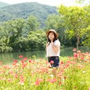 6월6일 자라섬 업데이트 완료 100컷 (미드지기님 리딩) 이미지