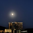 스시마시스 이미지