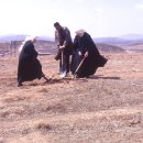 자비의집 이미지