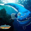 햇살가득한 이미지