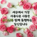 상도동 주향기교회 8월15일 신철원 한탄강 침례식~ 동행후기~ 은혜가득한 시간