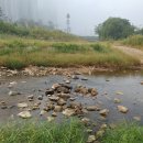 게시판에서 사라진 명절 스트레스 그리고 Road Less Traveled 이미지
