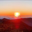 재약산식당 이미지