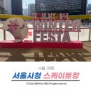 시청광장지하쇼핑센터 | 2026 서울시청광장 스케이트장 현장예매 및 운영시간 주차장정보 공유