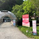 감악산 | # 감악산 산행후기_원주시,제천시_2025.06.03