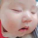 조강로 이미지