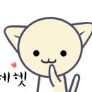 핑돼 이미지