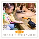 여우PC카페 | 경주가볼만한곳 실내동물원 주렁주렁 경주놀만한곳 6살 아이랑 체험 후기