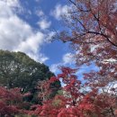 금은 별장 | 교토 금각사(입장료,입장시간)가족여행 부자기원 코스✨