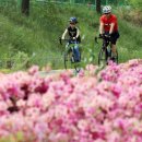 한강행정사 이미지