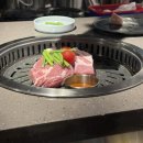 알리바이공항점 | 25년 5월 어느 멋진 날 in Jeju🍊🏝️