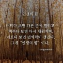 인연꽃 / 기다림이 주는 행복 - 피부 재생을 돕는 탁월한 음식 / 코골이가 당뇨병, 고혈압 등 성인병 신호탄 이미지