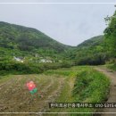경남고성부동산토지매매 - 영현면 저렴한 농지 토지매매 4673제곱미터 (1416) 이미지