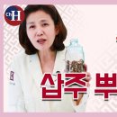 소화불량과 위 건강에 좋은 '삽주뿌리(백출)' 효능 조회수 5.6만회 4년 전 이미지