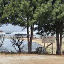 SK구로주유소 | [강원/춘천/신북읍] 항아리닭갈비막국수 춘천본점(버섯닭갈비•목살닭갈비 / 채소 러버라면 여기로...