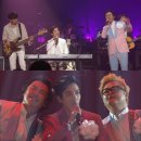 장미여관 이미지