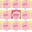 착한꽃대패 이미지