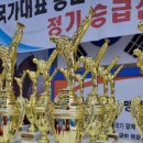 국가대표 용인대 비룡태권도장 이미지