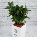 빅스타 당구클럽 이미지