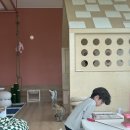 안녕, 고영희 이미지