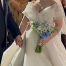 황언니 펫살롱 | [2025.10] 뜨겁게 사랑했던 계절을 지나