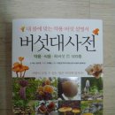 약초연구가 정구영씨 “버섯 대사전” 출간...버섯 500종 소개 이미지