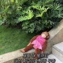 시은 푸드 | 5월/[적응 완]
